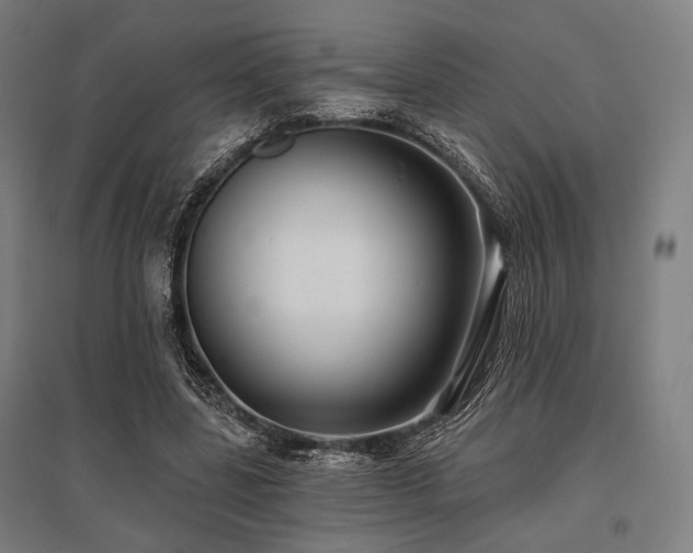 X0000096150539200801181205