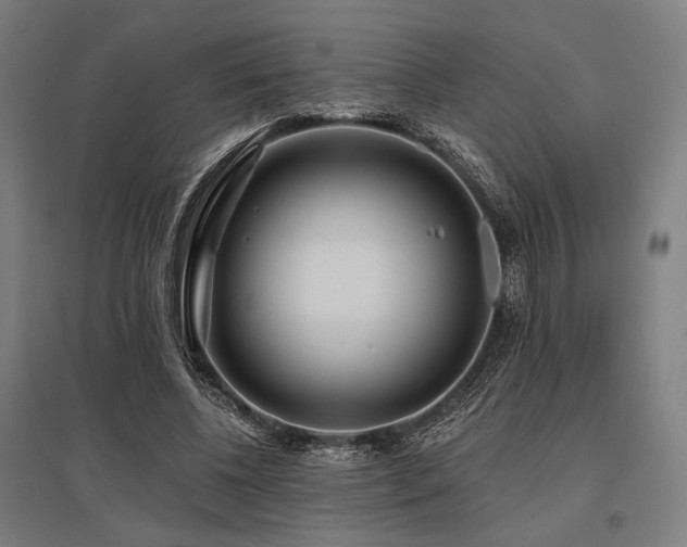 X0000096150540200801181205