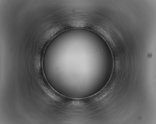 X0000096150541200801181205