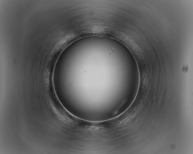 X0000096150542200801181205