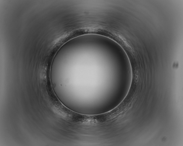 X0000096150543200801181205