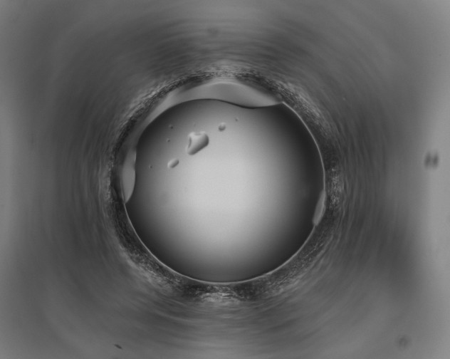 X0000096150544200801181205