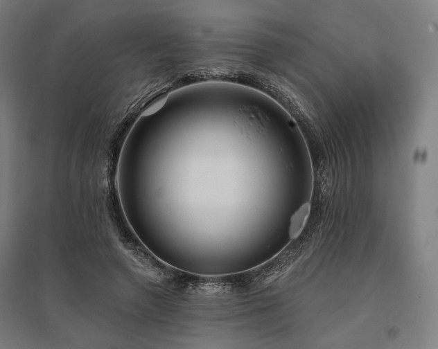 X0000096150546200801181205