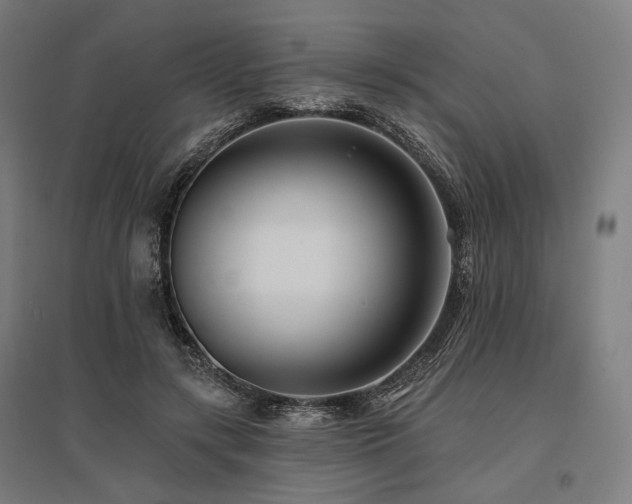 X0000096150547200801181205