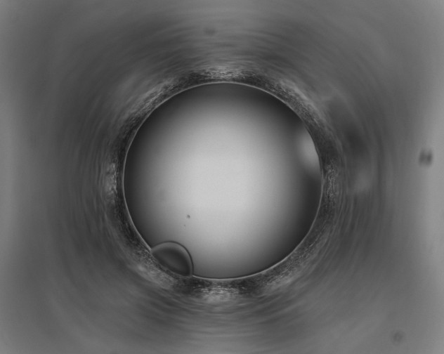 X0000096150549200801181205