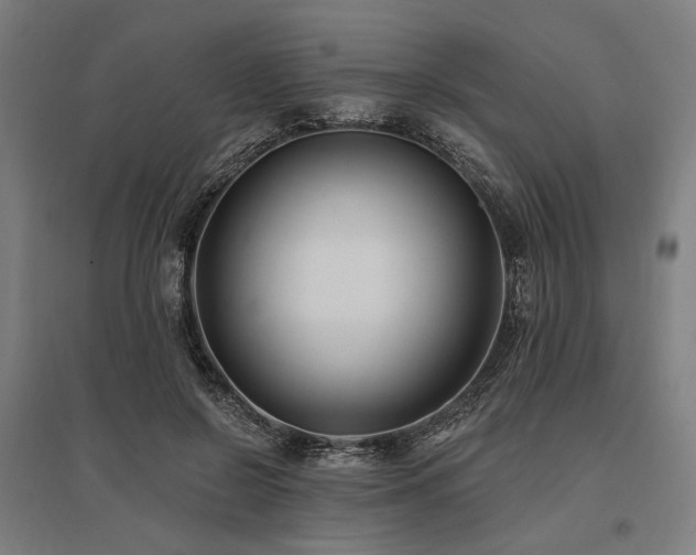X0000096150550200801181205