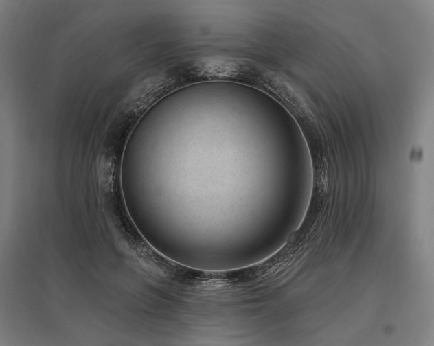 X0000096150551200801181205