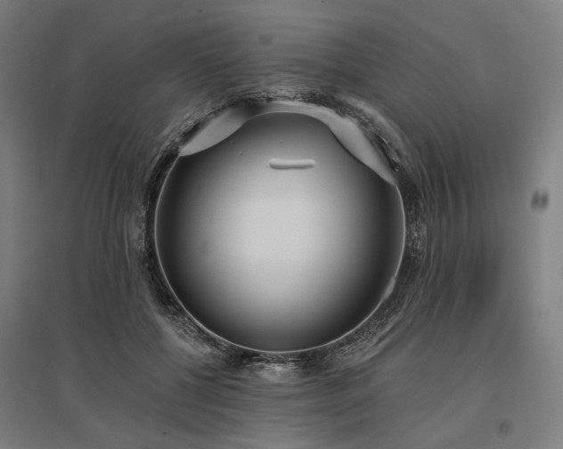 X0000096150552200801181205