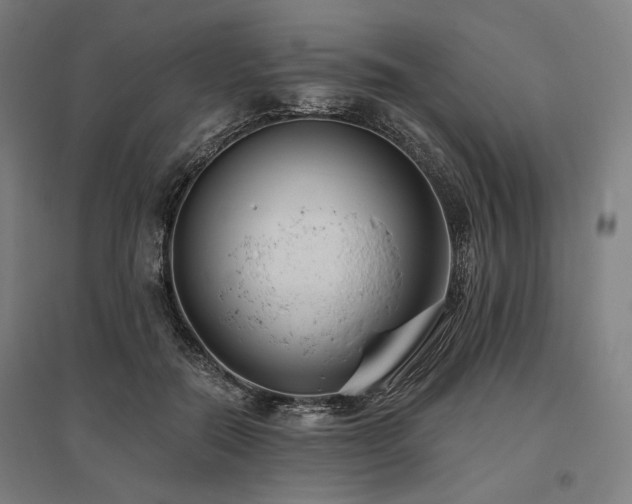 X0000096150554200801181205