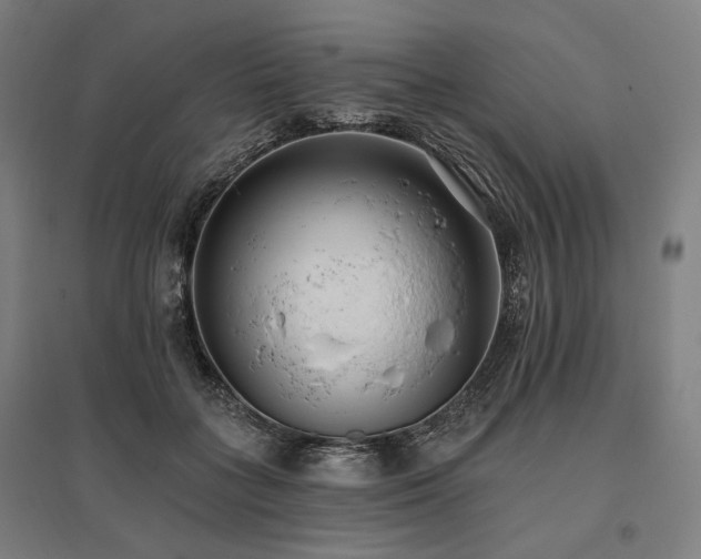 X0000096150555200801181205