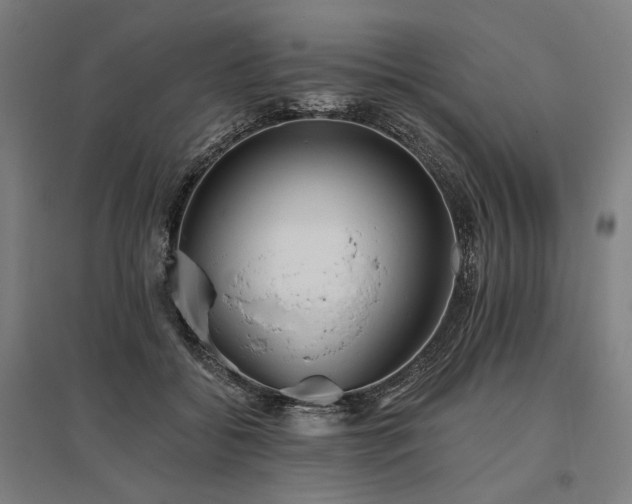 X0000096150556200801181205