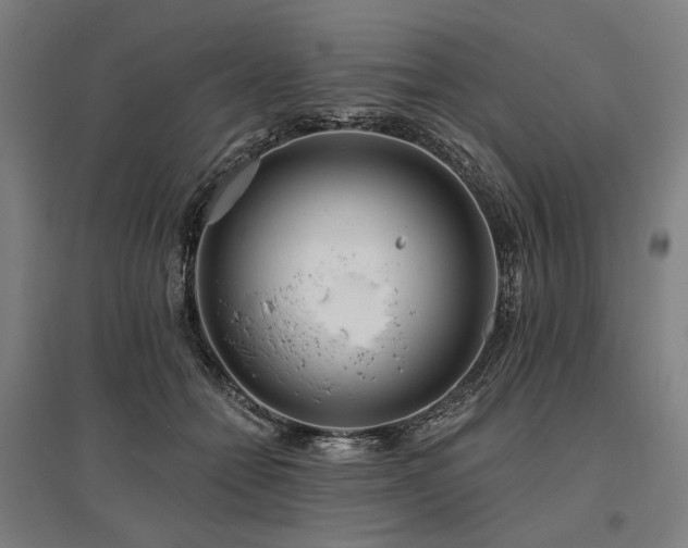 X0000096150558200801181205