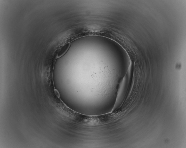 X0000096150559200801181205