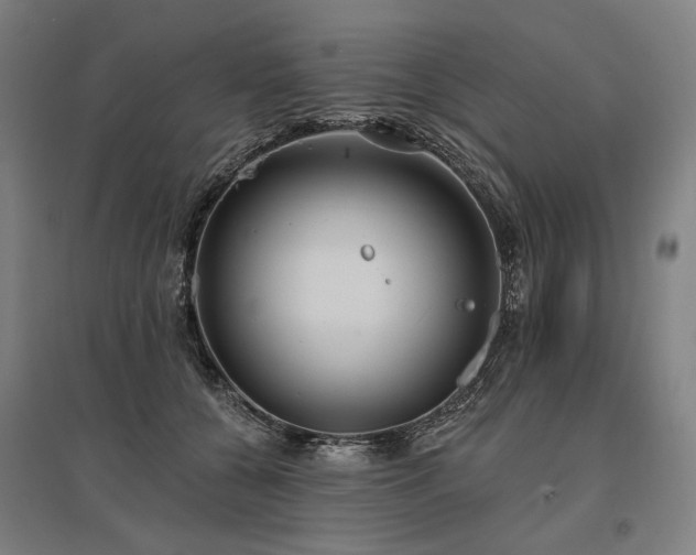 X0000096150560200801181205