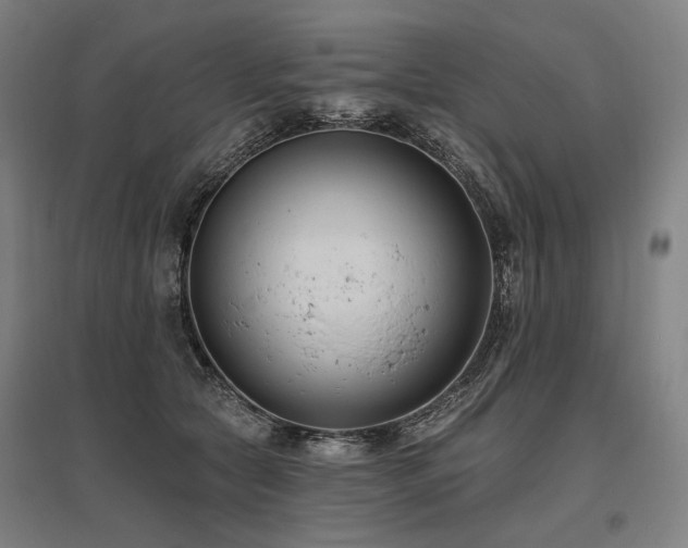 X0000096150561200801181205