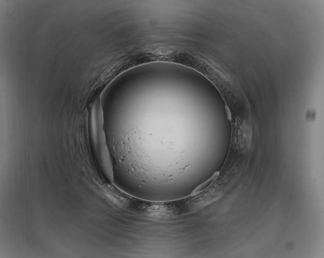 X0000096150562200801181205