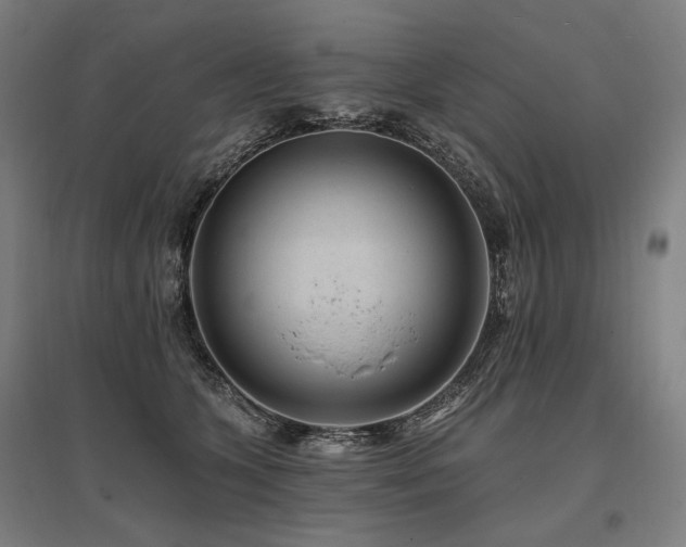 X0000096150563200801181205