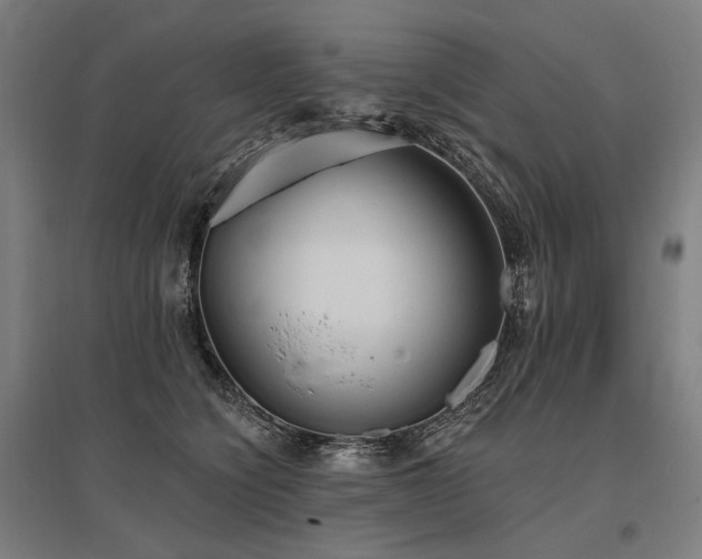 X0000096150564200801181205