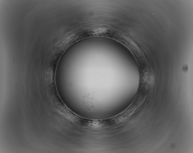 X0000096150565200801181205