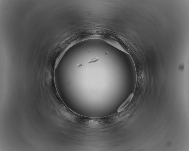 X0000096150566200801181205