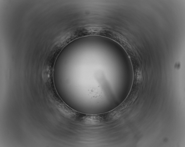 X0000096150567200801181205
