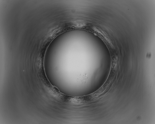 X0000096150568200801181205