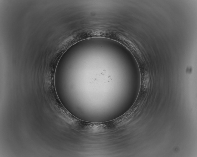 X0000096150569200801181205