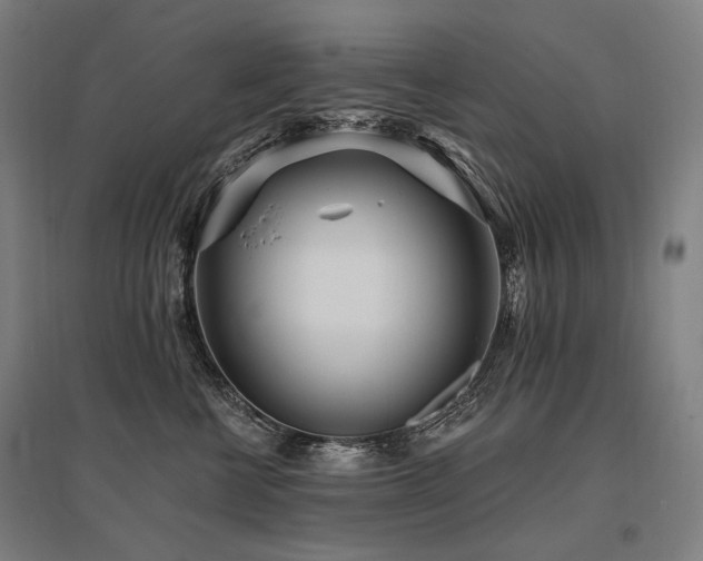 X0000096150570200801181205