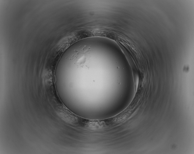 X0000096150571200801181205