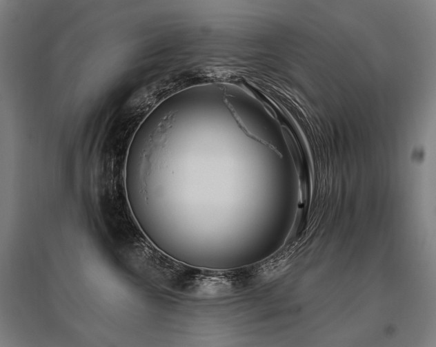 X0000096150572200801181205
