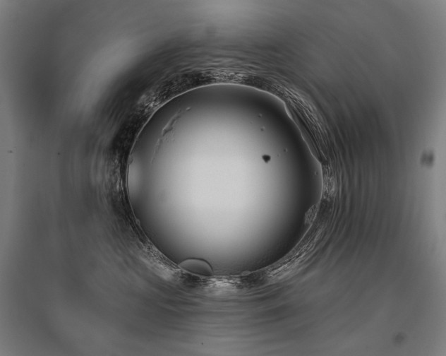 X0000096150573200801181205