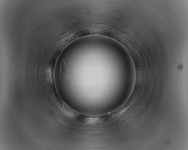 X0000096150575200801181205