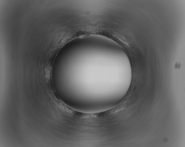 X0000096150576200801181205
