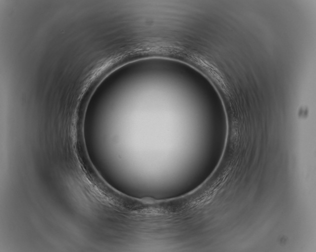 X0000096150578200801181204