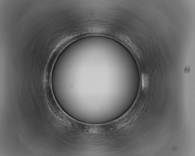 X0000096150579200801181204