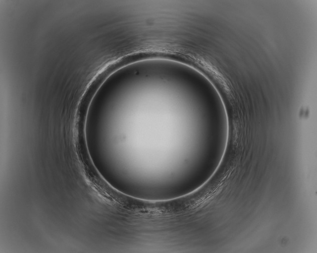 X0000096150580200801181204