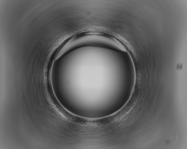 X0000096150581200801181204