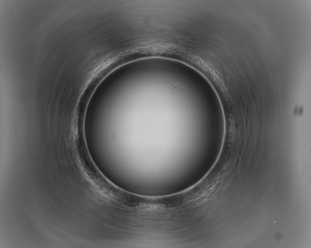 X0000096150582200801181204