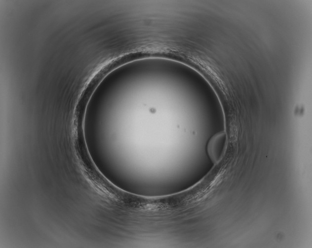 X0000096150584200801181204