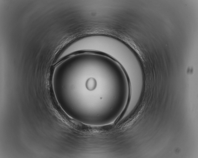 X0000096150585200801181204