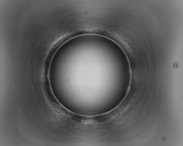 X0000096150587200801181204