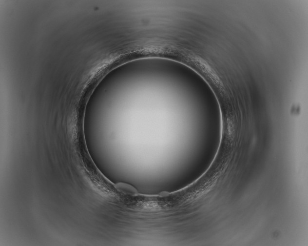 X0000096150588200801181204