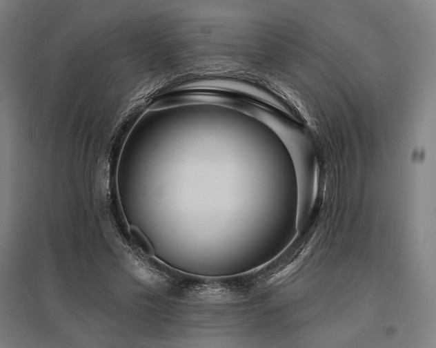 X0000096150589200801181204