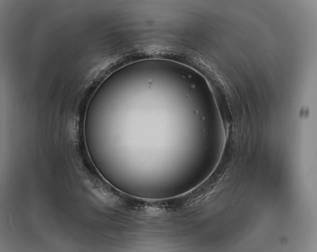 X0000096150592200801181204