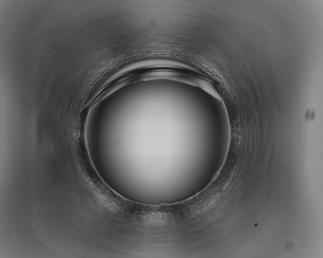 X0000096150593200801181204