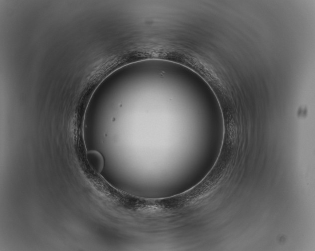 X0000096150594200801181204