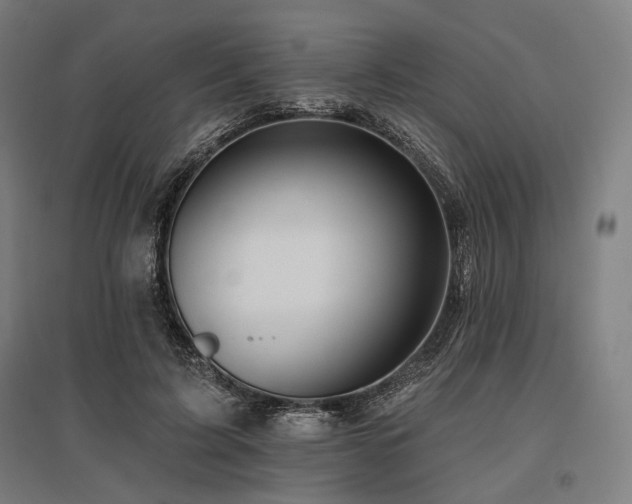 X0000096150595200801181204