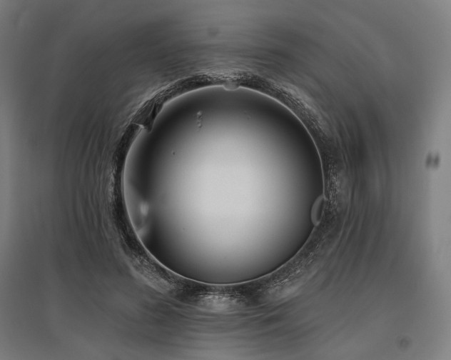 X0000096150596200801181204