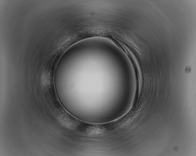 X0000096150597200801181204