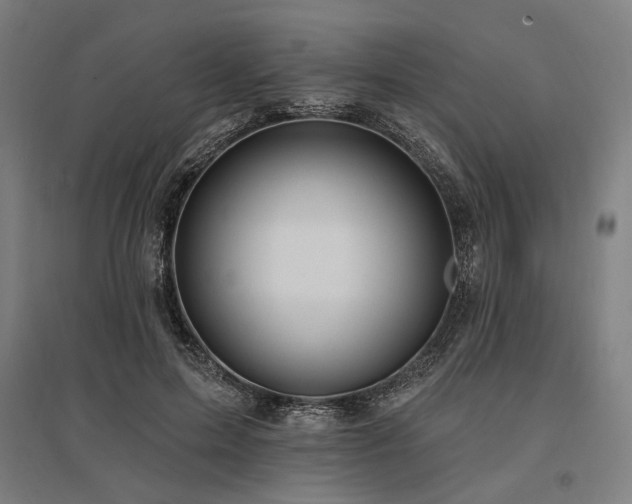 X0000096150599200801181204